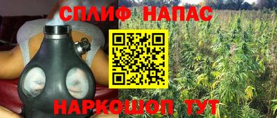 эйфоретик Ярославль