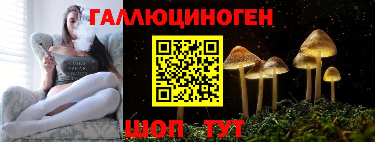 Красноярск  Псилоцибиновые грибы ЛСД  Вход с VPN  Псилоцибиновые грибы мицелий 
